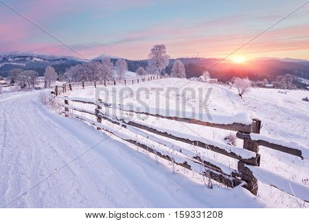 Winter country landscape with timber fence and snowy road into evergreen forest