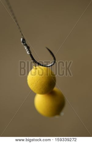 Fishing Rig Pop Up In Bait