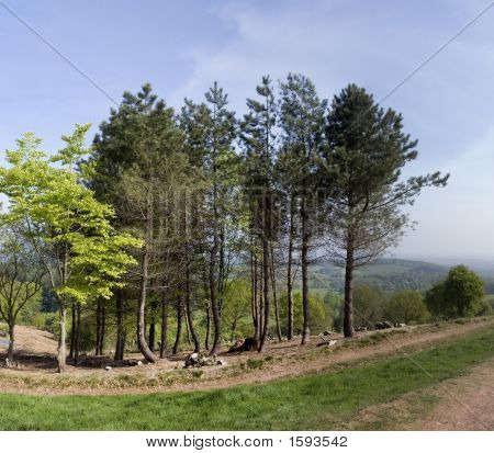 Clent Hills