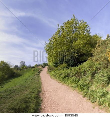 Boschi delle colline Clent
