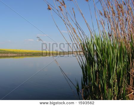 Lakeside landskap