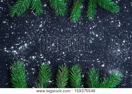 Christmas Tree Branches On Winter Snowbound Black Space Background