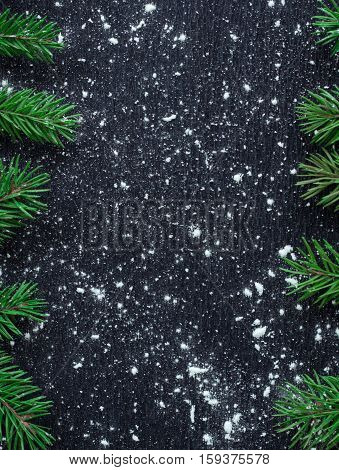 Xmas Tree Branches On Winter Snowbound Black Space Background