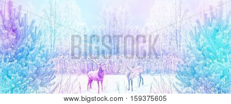 forest in the frost. Winter landscape. Snow covered trees. deer