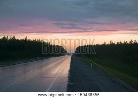 country wet road against the background of spruce forest and pink sky