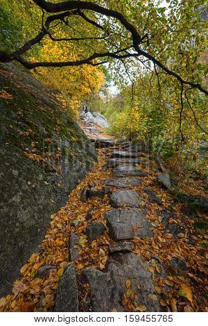Stara reka Reserve in the autumn, Stara planina mountain, Bulgaria