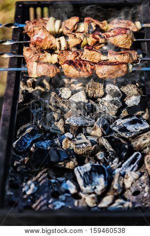 delicious grilled skewers on hot coals put on the rotisserie