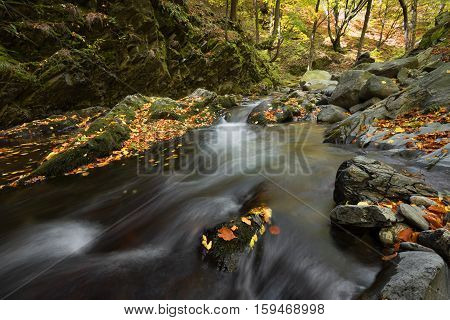 Stara reka Reserve in the autumn, Stara planina mountain, Bulgaria