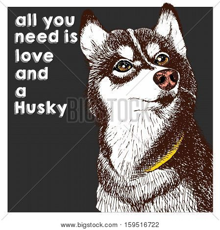 Vector close up portrait of siberian husky isolated on black square background. All you need is love and a dog. Hand drawn domestic dog illustration. Sketched engraved funny illustration.