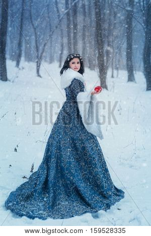 Portrait of young woman dressed in blue coat. She is walking in the winter forest holding a basket with apples