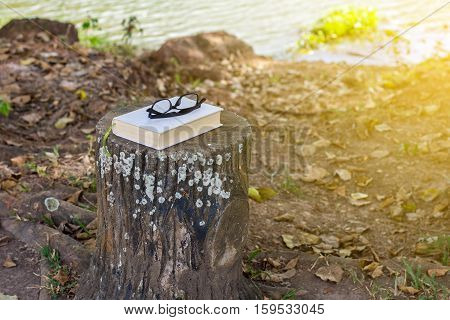 Books with glasses resting on a bench in the park.