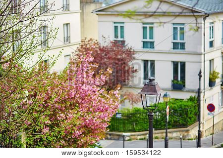Beautiful Parisian Street