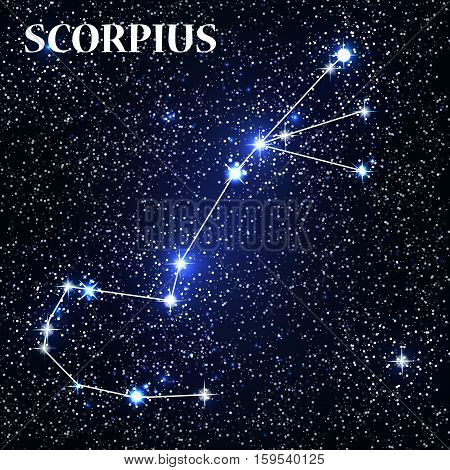 Symbol Scorpius Zodiac Sign. Vector Illustration EPS10
