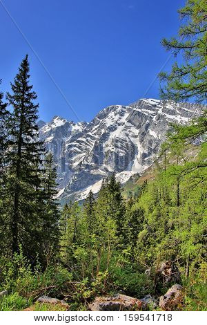 Goell Ridge near Berchtesgaden, Germany. On the Rossfeld Panorama road.