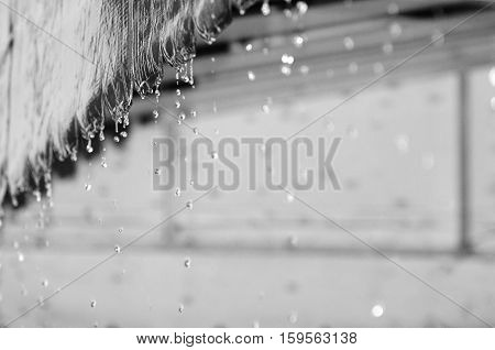 Rainwater falling from an awning. Water falling on a rainy day background