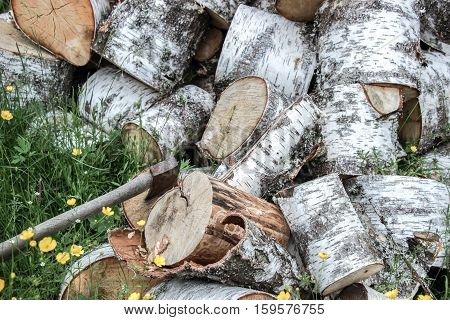 axe on wood with a pile of chopped wook