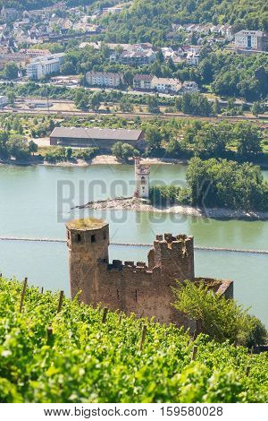 Ehrenfels Castle Near Rudesheim Am Rhein, Germany