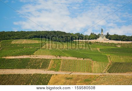 Vineyards And Germania Monument In Rudesheim