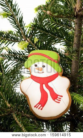 Christmas  holiday decoration on a white background