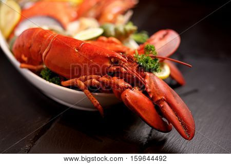 Seafood Lobster Plater On Slate