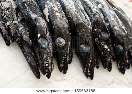 Black scabbardfish - Aphanopus carbo - in the Fish Market Funchal, Portugal