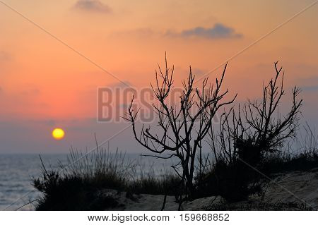 Mediterranean coast in southern Israel near the city of Ashkelon