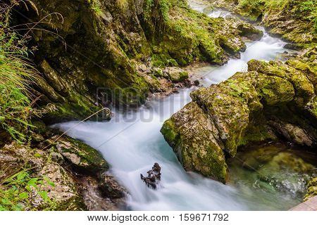 Mountain river Radovna in the Vintgar gorge, a natural Triglav national Park, Slovenia.