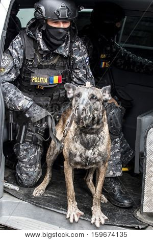 TIMISOARA ROMANIA - DECEMBER 1 2016: Military parade at Romanian National Day. Cop simulating a mission with dog. Picture is taken in front of the Administrative Palace in Timisoara.