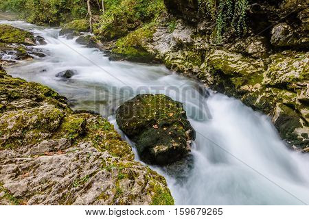 Mountain river Radovna in the Vintgar gorge, a natural Triglav national Park, Slovenia.