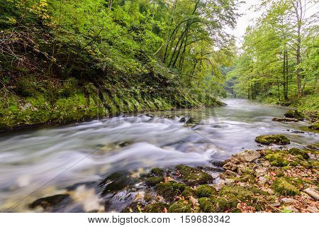 Mountain river Radovna in the Vintgar gorge, a natural Triglav national Park, Slovenia.