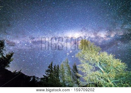 Milky way from glentanner campsite New Zealand.
