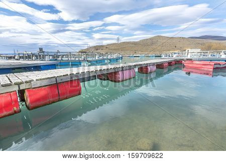 Salmon Fish farm floating on the glacial waters of Wairepo Arm Twizel South Island New Zealand