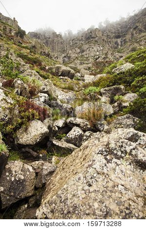 Gran Canaria, Nature Park Tamadaba