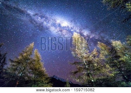 Milky way at Glentanner campsite, New Zealand