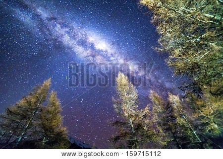 Milky way at Glentanner campsite, New Zealand