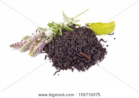 Black tea with the fresh mint leaves