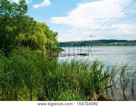 a quiet place for fishing on the lake