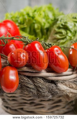 Ingredients for fresh spring healthy green salad. Green fresh roma lettuce salad leaves and roma mini tomatoes - healthy low calorie food