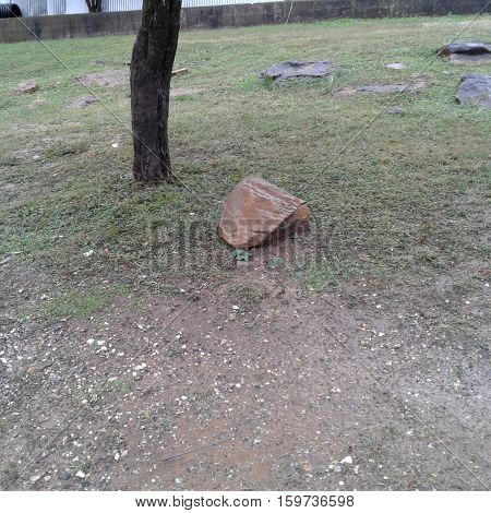 This rock and stomp is a one of a kind picture
