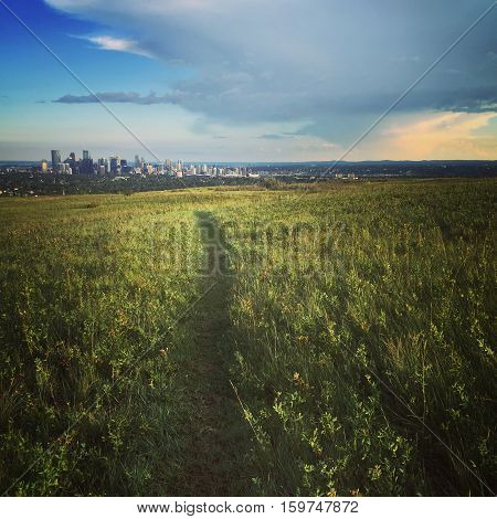 Summer field landscape with Calgary downtown buildings, bright blue sky and big grey cloud over horizon in background. Lush green summer grass field, trail, hills and trees in foreground.