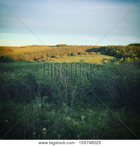 Autumn field landscape with lush green grass and sunshine on hills in background at sunset. Grey clouds and light blue sky over hills. Thick forest tress and lush green grass on hills.