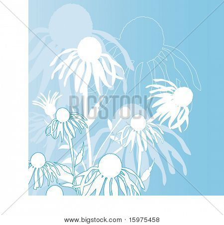 fiori d'inverno