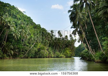 Tropical River With Palm Trees On Both Shores