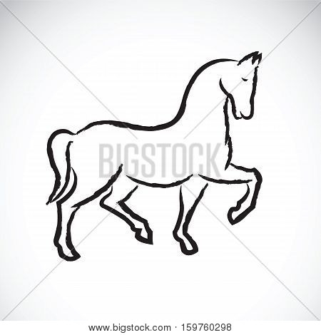 Vector of a horse on white background.