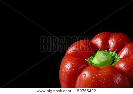 Closeup view of red pepper with water drops. Pepper is on a black background. Free place for your text is in the lefs side of the photo.