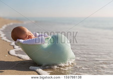 Adorable newborn child in a nutshell on the ocean shore. Cute baby boy on the beach. New life concept.