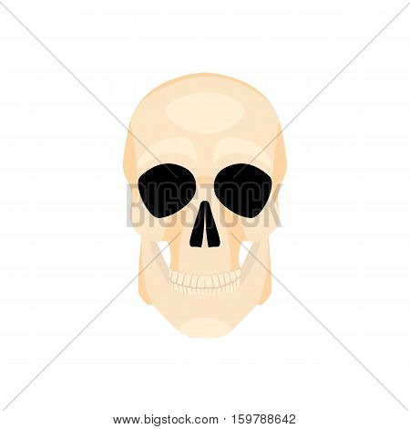 Icon human skull isolated on a white background