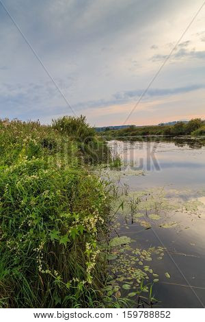River bank at sunset, summer evening, vertical frame