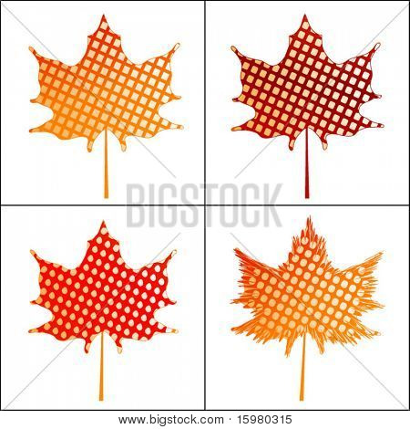 padrão sem emenda em maple folhas - 4 opções