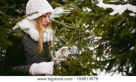 Young Woman In A Forest With Fir And Pine Trees On The Street, Hands Touch The Branches Of Trees, Co